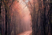 英超-福登双响德布劳内建功 曼城4-0大胜布赖顿.