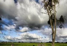 [天下足球]勒沃库森大胜不来梅 首夺德甲冠军.