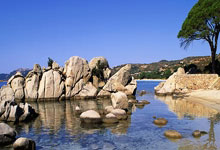 孙颖莎回应“莎头”组合是否出战混双：服从安排 全力以赴央视体育.